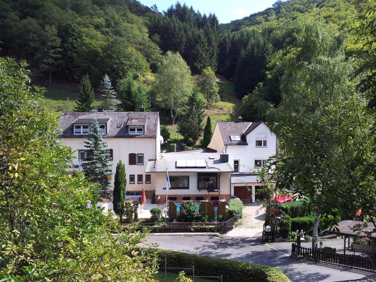 Ferien Und Selbstversorgerhaus Fuer Gruppen Sauerthaler Hof - Loreley Villa Exterior photo